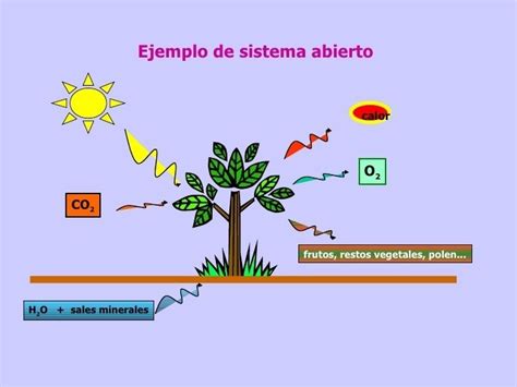 Teor A General De Sistemas Mind Map