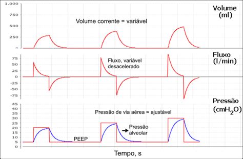 Mechanical Ventilation Manual Xlung Net