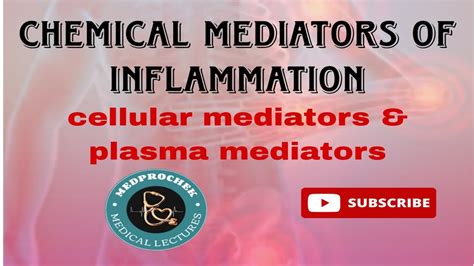 Chemical Mediators Of Inflammation Cellular Plasma Mediators