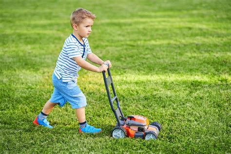 Whats The Essence Of Mowing Your Lawn Try These Answers As Your Guide