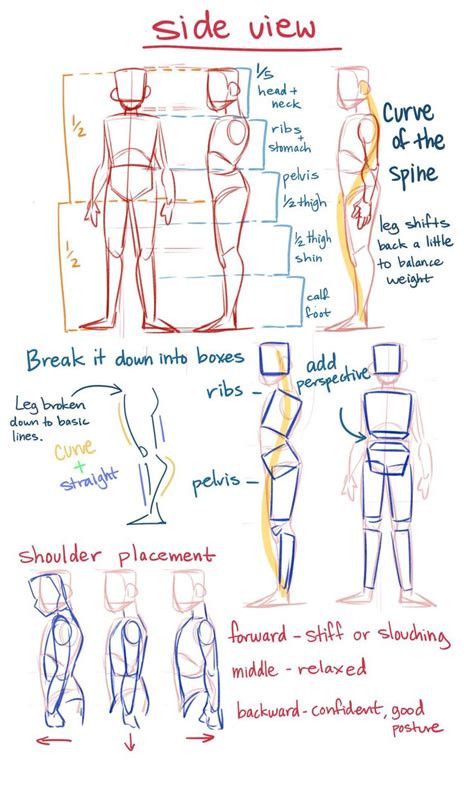 Art Tips Refs Techniques On Twitter Drawing Tips Anatomy Reference Art Reference