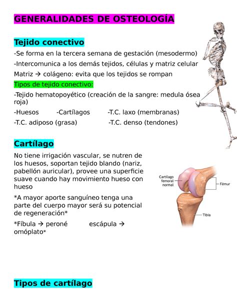 Generalidades De Osteolog A Generalidades De Osteolog A Tejido