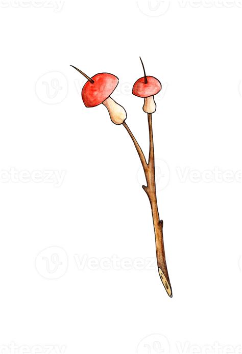 Watercolor Illustration Of Fried Mushrooms On A Stick Outdoor
