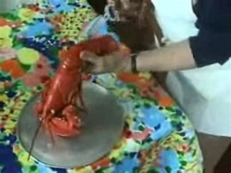 Mon Homard Vid O Dailymotion