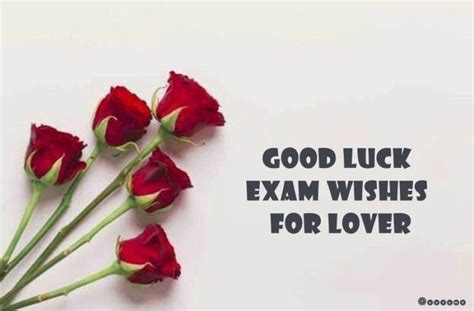 44 Best Good Luck Exam Wishes For Lover Funzumo