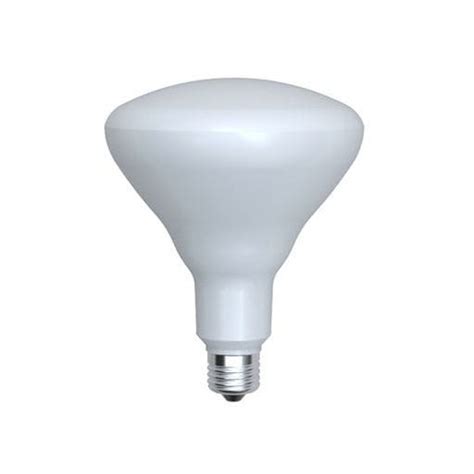 Lampadina A Incandescenza BR40 Hengdian Group Tospo Lighting Co Ltd