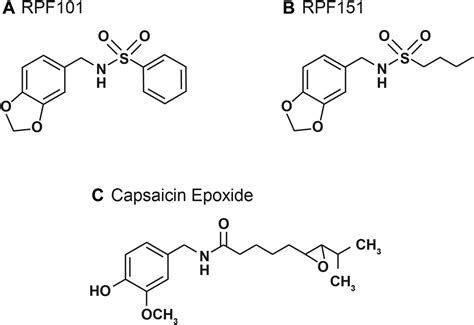 Anticancer Activity Of Natural And Synthetic Capsaicin Analogs Journal Of Pharmacology And