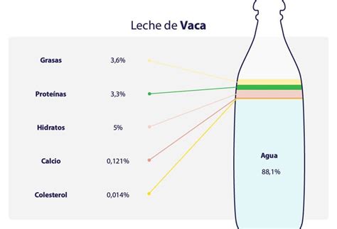 Cuánto engorda la leche Todo Engorda