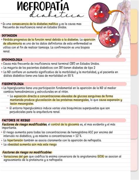 NEFROPATÍA DIABÉTICA Kasandra Candia uDocz