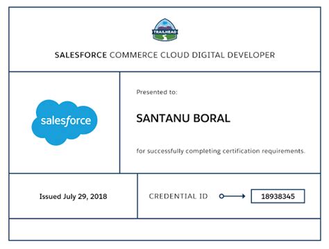 Tips For Passing Salesforce Certified Commerce Cloud Digital Developer