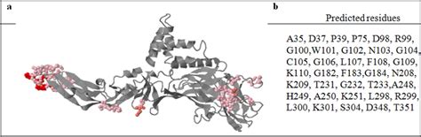 Identified Conformational B Cell Epitopes By Seppa 30 A 3d