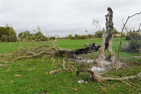 Impressionnant Images Darbres Frappés Par La Foudre Près De Gournay