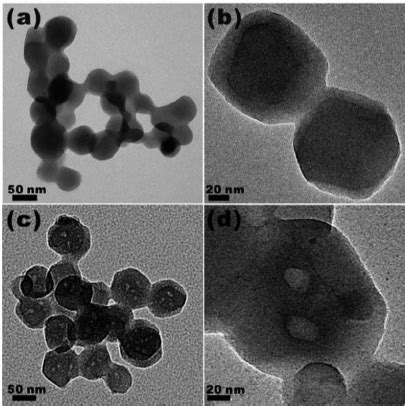 Tem Images Of Zif At Di Ff Erent Magni Fi Cation Levels A And B