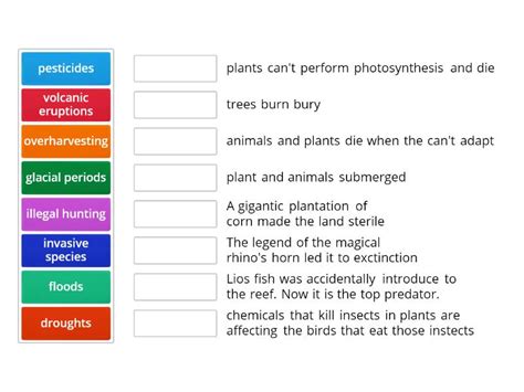 Human Activities That Affect The Ecosystem Match Up