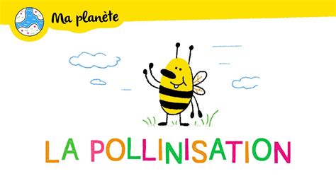 La Pollinisation Expliqu E Aux Enfants Ma Plan Te Youtube