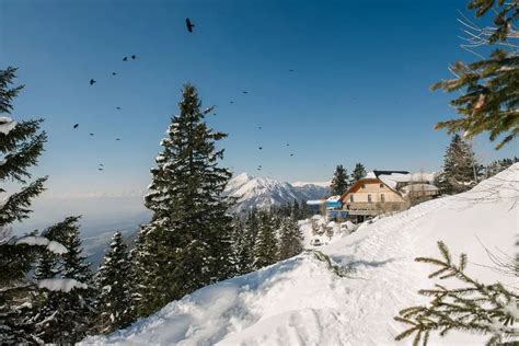 Zimski Odmor Uz Ski Stazu U Sloveniji Dana Hotel Doru Ak I Ve Era