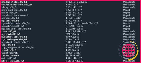 Comment lister les paquets installés sous Linux lizengo fr 2025