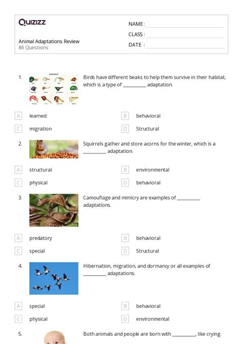 Natural Selection And Adaptations Worksheets For Year On Quizizz