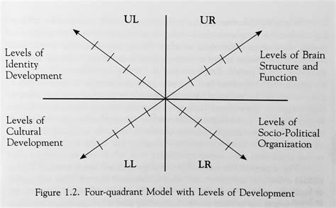 Integral - Meta-perspective