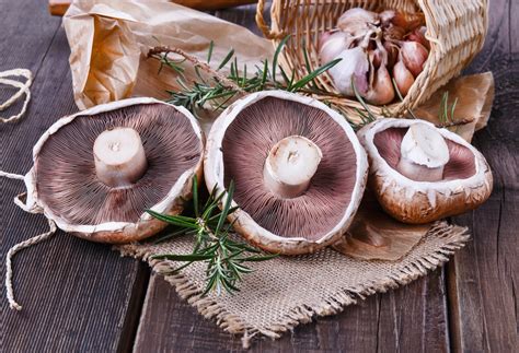 Can You Freeze Portobello Mushrooms Fanatically Food