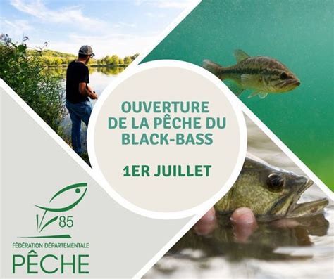 Ouverture De La Pêche Du Black Bass