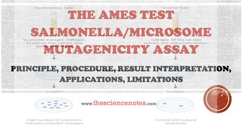 Ames Test Principle Procedure Result Interpretation Applications Limitations