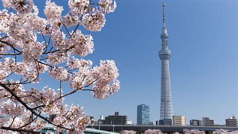 Tokyo Skytree | Tokyo | Japan City Tour