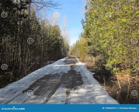 Snow Covered Gravel Road Through Forest In Southern Ontario Canada