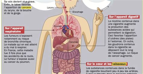 Les Effets Et Les Dangers Du Tabac Language French Class And School