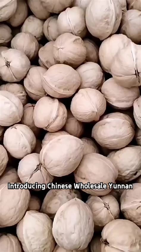 Natural Organic Walnuts For Wholesale Walnut Kernel In Bulk Buy