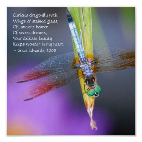 Dragonfly Love Quotes. QuotesGram