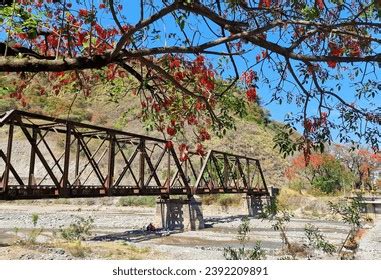 Railway Argentina Images Stock Photos D Objects Vectors