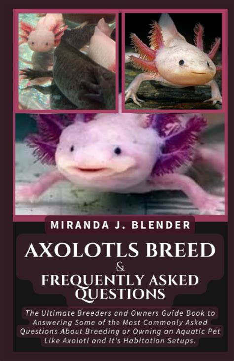 Buy Axolotls Breed Frequently Asked Questions The Ultimate Breeders