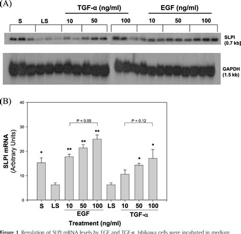 Figure From The Secretory Leukocyte Protease Inhibitor Gene Is A