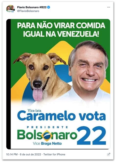 Memes De Cachorros Que Apoiam Bolsonaro Viralizam Nas Redes