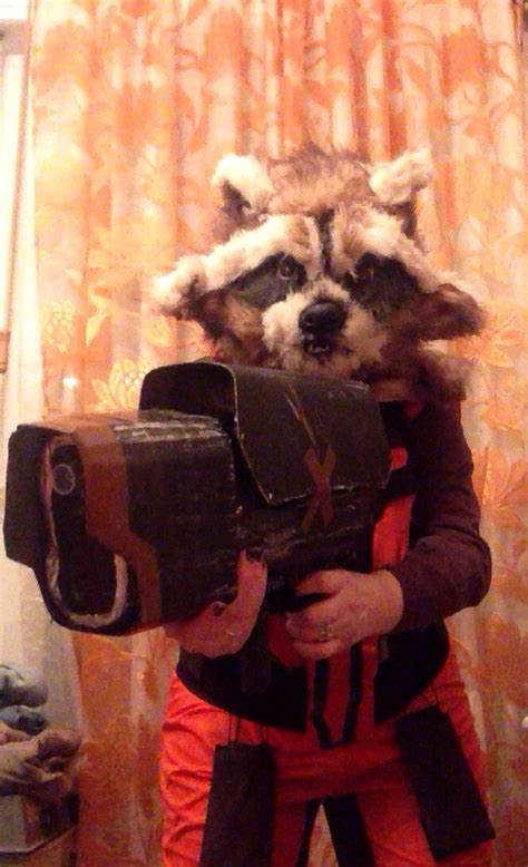 Rocket raccoon Cosplay by CyberBunnyCosplay on DeviantArt