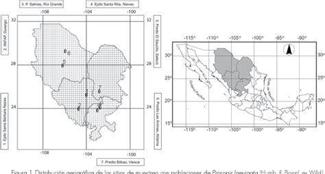 Figure From Ecuaciones Alom Tric As Para Estimar Biomasa A Rea De