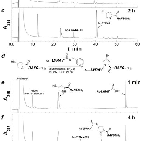 Native Chemical Ligation A Scheme And B C Crude Hplc Chromatograms Download Scientific