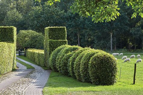 Piet Oudolf S Personal Gardens At Hummelo Flower Magazine