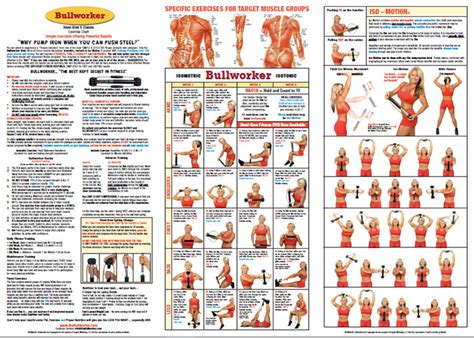 Chart Steel Bow Bullworker Personal Home Fitness Isometric Strength Training