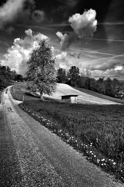 Path And Tree Under Clouds Kis Photography Flickr