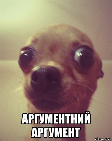 аргументний аргумент, Мем Аргументный аргумент - Рисовач .Ру