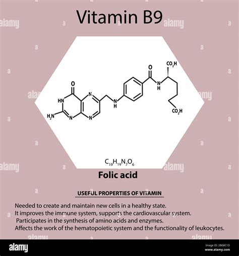 Vitamina B9 Ácido Fólico Fórmula Química Molecular Propiedades útiles