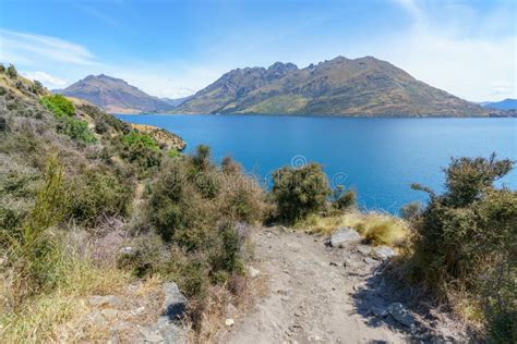 Caminar La Pista Del Punto De Enchufes Con La Vista Del Wakatipu Del