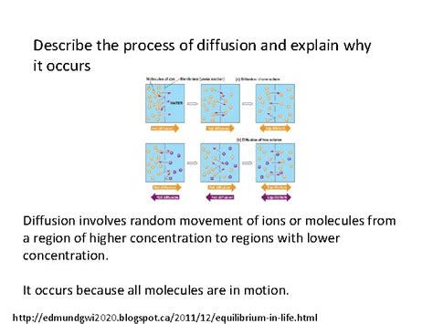 What is a concentration gradient The difference between