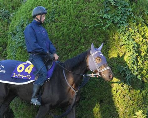 【天皇賞・秋】14ユーバーレーベン 枠にこだわらず、陣営「馬は変わらずいい雰囲気」 競馬ニュース Netkeiba