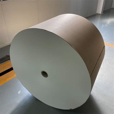 Food Grade Waterproof Kraft Or White 185GSM PLA Coated Paper Roll