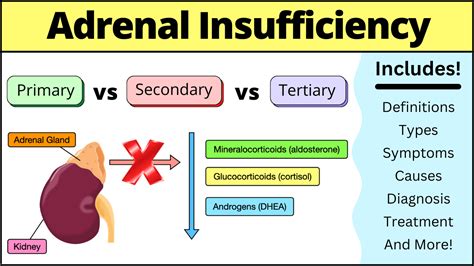 Primary Adrenal Insufficiency Addison S Disease Damag