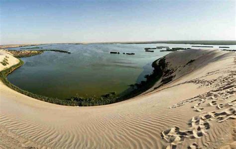 12 Best Places To Visit In Al Ahsa Updated 2024 With Image