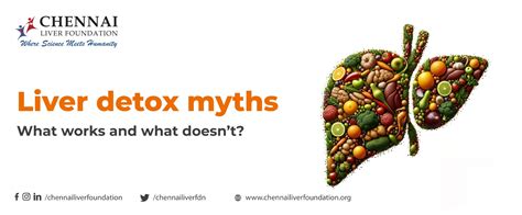 Liver Detox Myths What Works And What Doesnt Chennai Liver Foundation